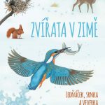 Müller, Thomas: Zvířata v zimě: Ledňáček, srnka a veverka